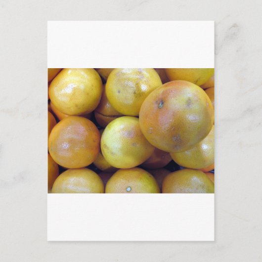 ピンクのグレープフルーツ ポストカード (正面)