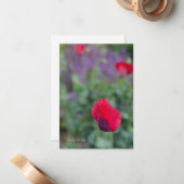 ピンクのケシ、パープルガーデン ノートカード (正面/裏面インサイチュ)