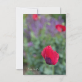 ピンクのケシ、パープルガーデン ノートカード