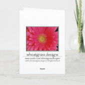 ピンクのゲルバダイジー 感謝カード (裏面)