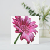 ピンクのゲルバダイジー 招待状 (スタンド正面)