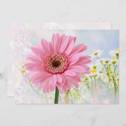 ピンクのゲルベラダイジー　あらゆるシーンの招待状 招待状 (正面/裏面)