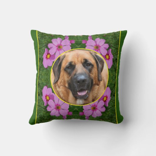 ピンクのコスモスの花々独自の写真を作成 クッション (裏面)