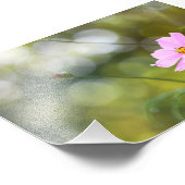 ピンクのコスモスの花と緑のゴールデンアワー《写真》ぼけ味 フォトプリント (角)