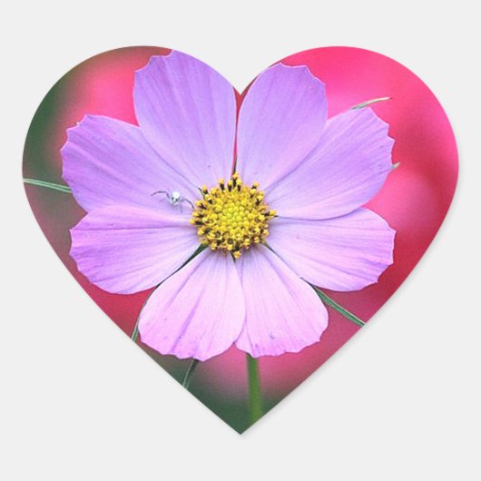 ピンクのコスモスの花のシール ハートシール (正面)