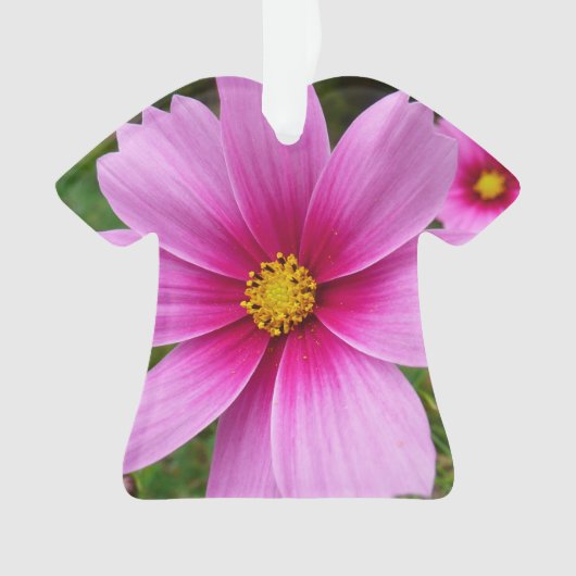 ピンクのコスモスの花ワイルドフラワー オーナメント (正面)