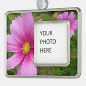 ピンクのコスモスの花ワイルドフラワー シルバープレートフレームオーナメント (左)