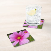 ピンクのコスモスの花ワイルドフラワー スクエアペーパーコースター (インサイチュ)