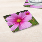 ピンクのコスモスの花ワイルドフラワー スクエアペーパーコースター (アングル)