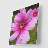 ピンクのコスモスの花ワイルドフラワー スクエア壁時計 (傾斜)