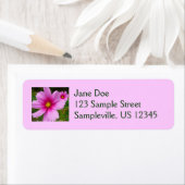 ピンクのコスモスの花ワイルドフラワー ラベル (インサイチュ)