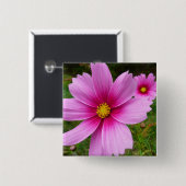 ピンクのコスモスの花ワイルドフラワー 缶バッジ (正面&裏面)