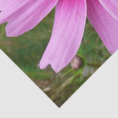 ピンクのコスモスの花ワイルドフラワー 薄葉紙 (詳細)