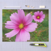 ピンクのコスモスの花ワイルドフラワー 薄葉紙 (クラフト)