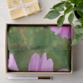 ピンクのコスモスの花ワイルドフラワー 薄葉紙 (ギフト)