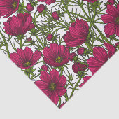 ピンクのコスモスの花 薄葉紙 (詳細)