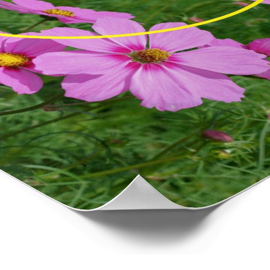 ピンクのコスモス花フレーム自分の写真を追加 ポスター (角)