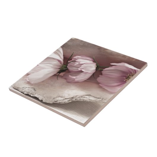 ピンクのコスモス3つ タイル (側面)