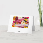 ピンクのコスモス - カード (裏面)