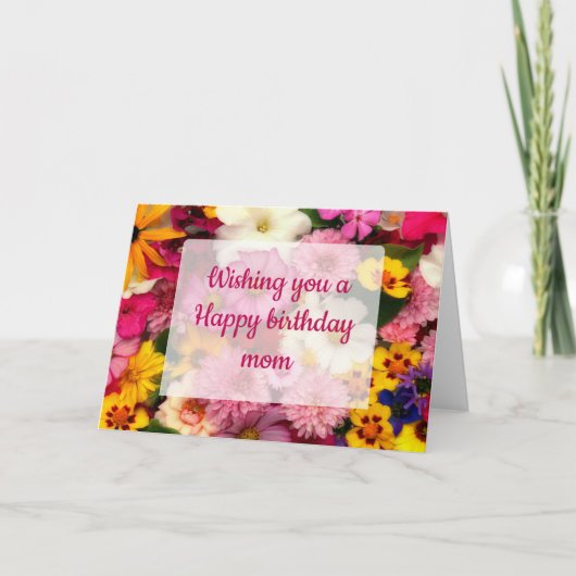 ピンクのコスモス - カード (正面)