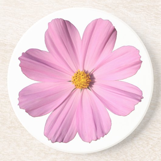 ピンクのコスモス コースター (正面)