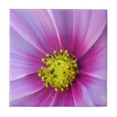 ピンクのコスモス タイル (正面)