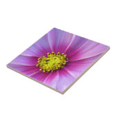 ピンクのコスモス タイル (側面)