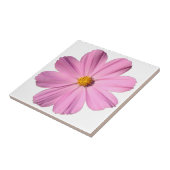 ピンクのコスモス タイル (側面)