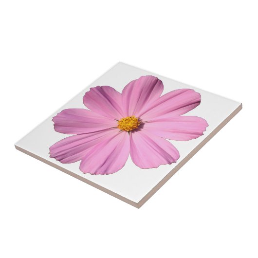 ピンクのコスモス タイル (側面)