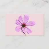 ピンクのコスモス 名刺 (裏面)