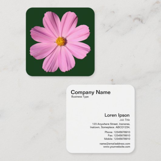 ピンクのコスモス – 濃い緑 スクエア名刺 (正面/裏面)