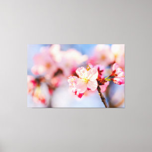 ピンクのサクラの花の輝く美しさ キャンバスプリント