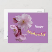 ピンクのサクラの花　ハッピーバースデー ポストカード (正面/裏面)