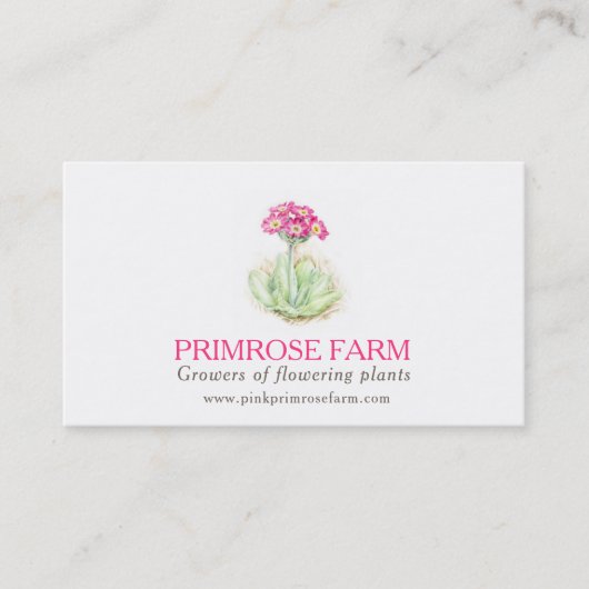 ピンクのサクラソウの農場の植物の製造者の名刺 名刺 (正面)
