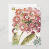 ピンクのサクラソウ ポストカード (正面/裏面)