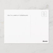 ピンクのサボテンの花が開花に始まる ポストカード (裏面)