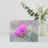 ピンクのサボテンの花、アリゾナ州 ポストカード (スタンド正面)