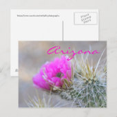 ピンクのサボテンの花、アリゾナ州 ポストカード (正面/裏面)