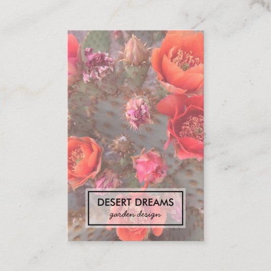 ピンクのサボテン花砂漠ガーデンフォトトラベル 名刺 (正面)