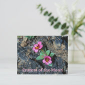 ピンクのサルの花、溶岩、月のクレーター ポストカード (スタンド正面)
