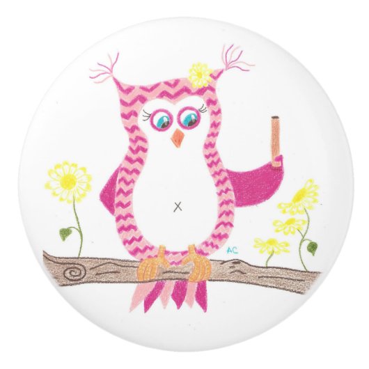 ピンクのシェブロンのフクロウの先生の陶磁器のノブ セラミックノブ (正面)