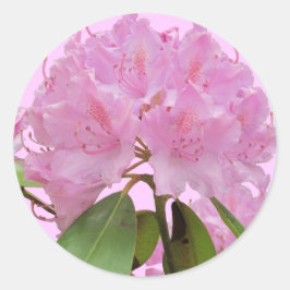 ピンクのシャクナゲの花 ラウンドシール
