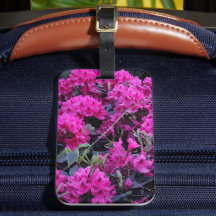 ピンクのシャクナゲの花