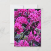 ピンクのシャクナゲの花 招待状 (正面)