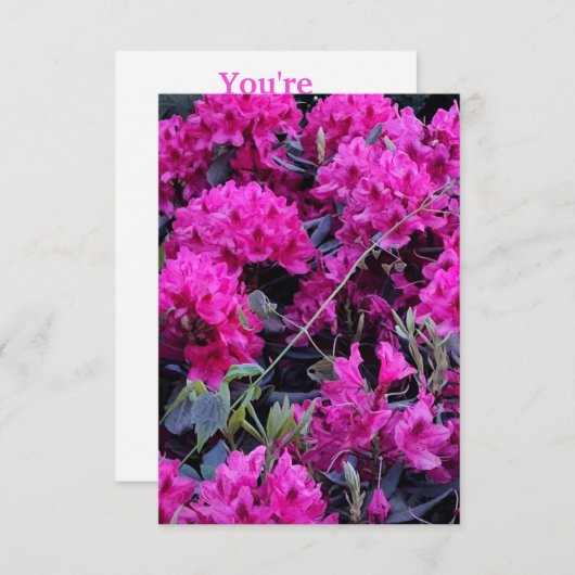 ピンクのシャクナゲの花 招待状 (正面/裏面)