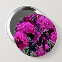 ピンクのシャクナゲの花