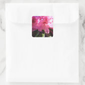 ピンクのシャクナゲ花 スクエアシール (バッグ)