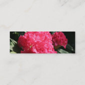ピンクのシャクナゲ2ミニ名刺 スキニー名刺 (裏面)