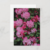 ピンクのシャクナゲ ノートカード (正面/裏面)