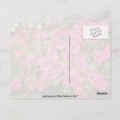 ピンクのシャクナゲ「バラ」(ツツジ)の花 ポストカード (裏面)